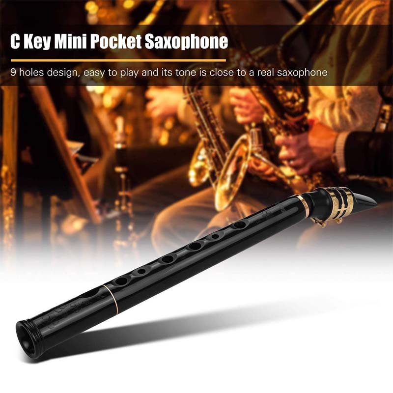 Key of C Two Octave Range Pocket Travel Saxphone