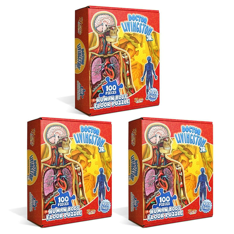 Human Anatomy Puzzle for Kids