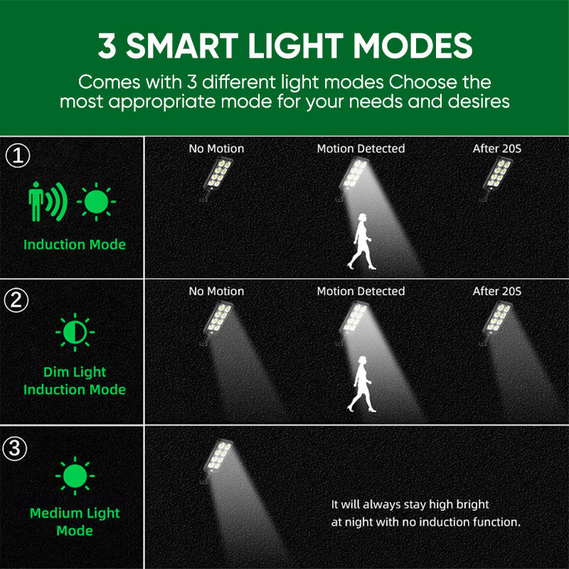 Solar-Powered Garden Light with Dual Motion and Light Sensors