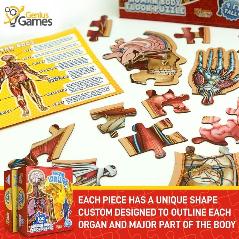 Human Anatomy Puzzle for Kids
