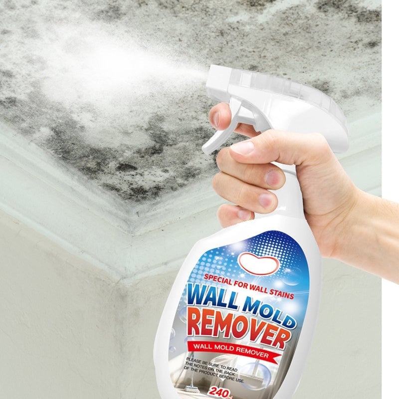 Fast Acting Anti-Mold Wall Cleaner Spray