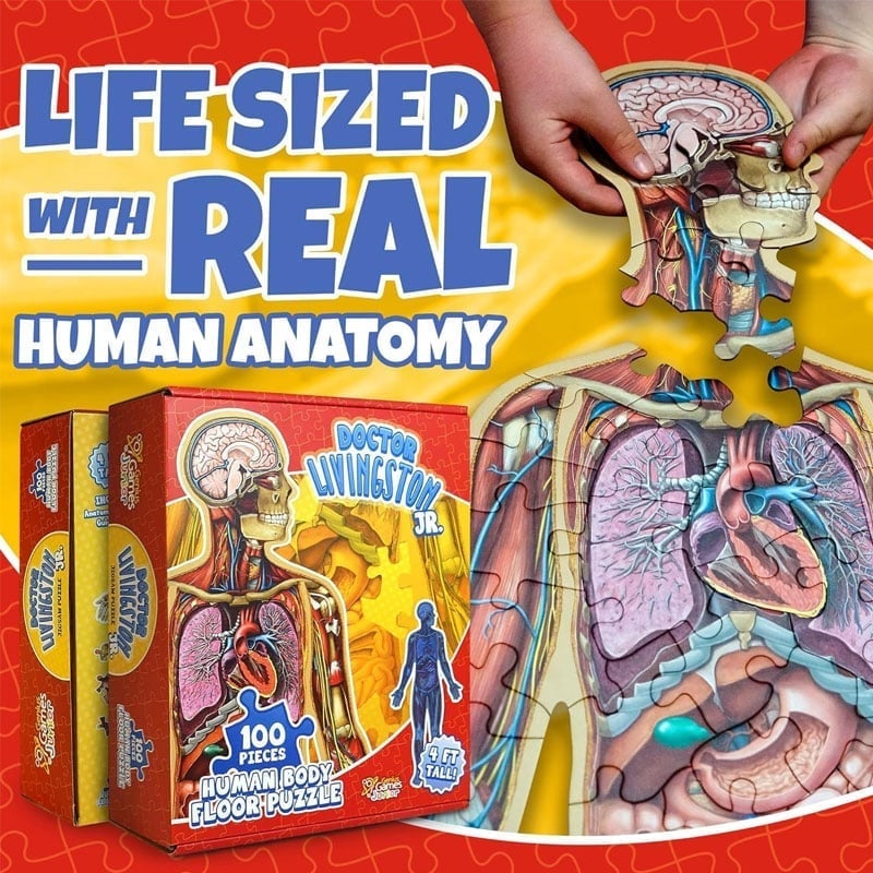 Human Anatomy Puzzle for Kids