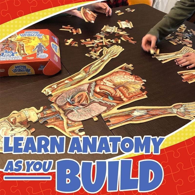 Human Anatomy Puzzle for Kids