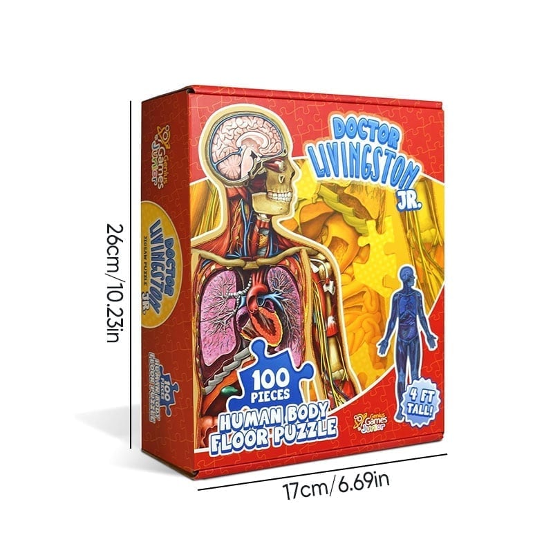 Human Anatomy Puzzle for Kids