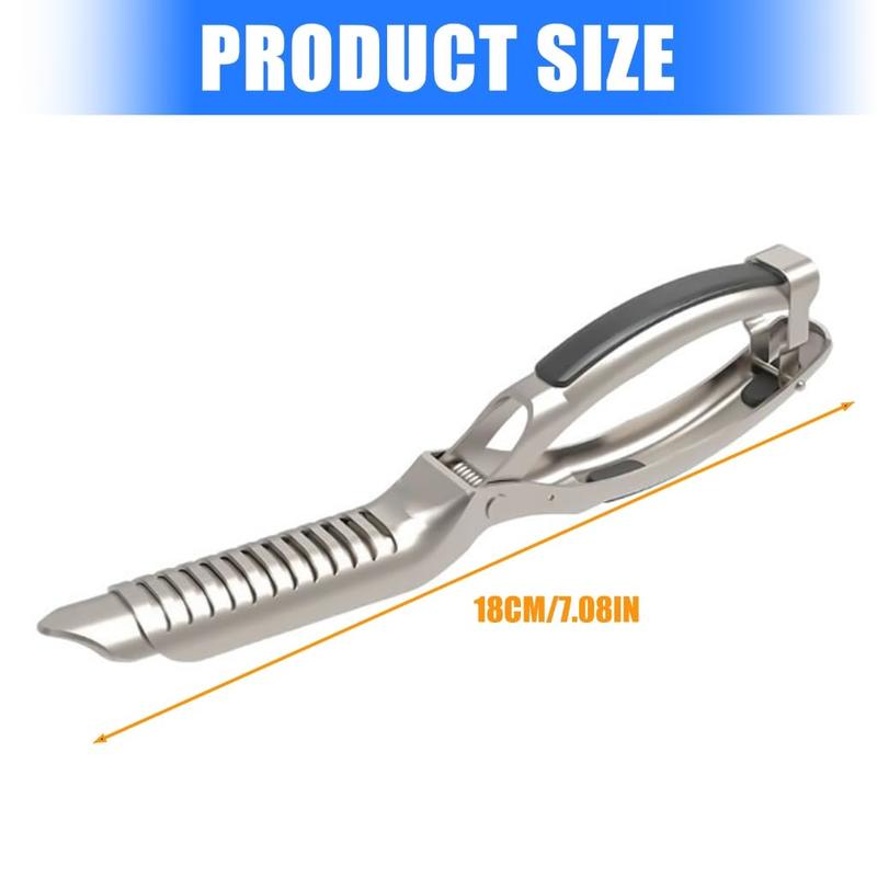 Rib Membrane Remover Stainless Steel Tool Kit